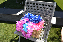 MOMENTUM - MULTI-VENDOR